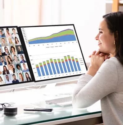 website portal services