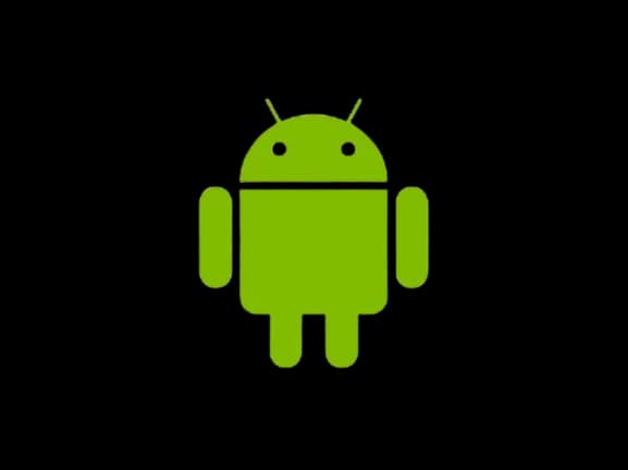 Chandigarh's Most Trusted Mobile App Development Company