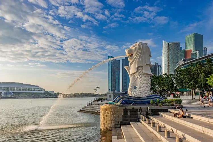 Best Software Development Consultation in Chandigarh